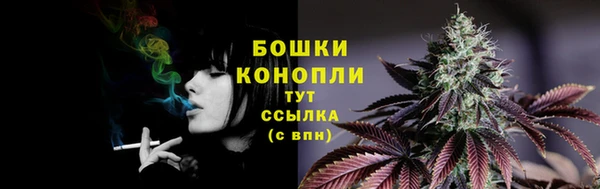 дурь Михайловск